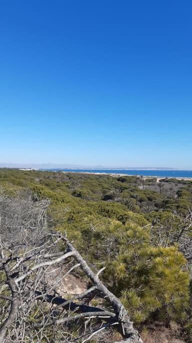 Bonito Piso Al Lado Del Mar! Lägenhet La Mariña Exteriör bild